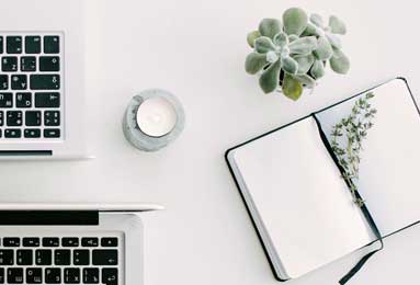  颜值实力并存的PG拳击玫瑰装备测评（PG拳击玫瑰）